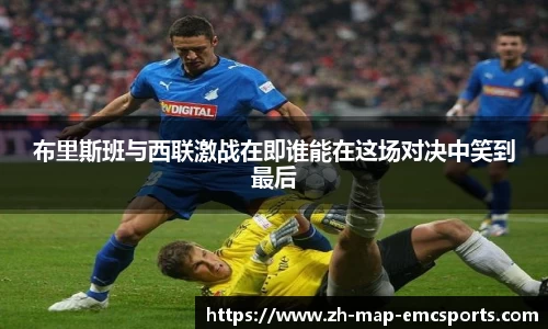 emc易倍体育官网