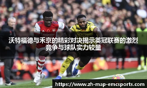 emc易倍体育官网