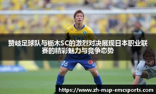 emc易倍体育官网