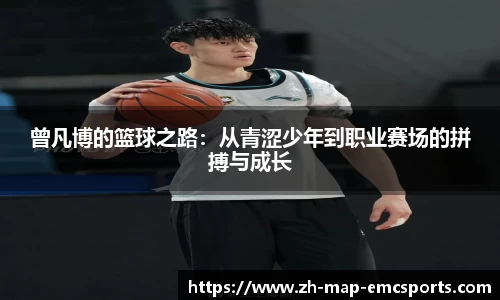 emc易倍体育官网