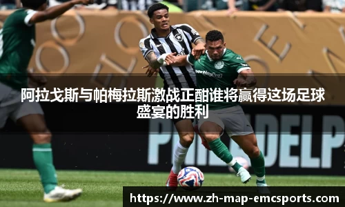 emc易倍体育官网