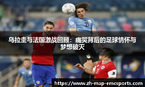 emc体育平台APP下载